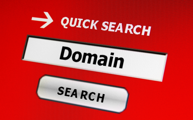 kiểm tra lịch sử đăng ký của domain